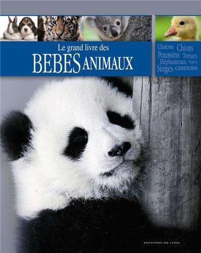Le grand livre des bébés animaux by (Hardcover)