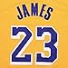Outerstuff Youth 8-20 Los Angeles Lakers #23 LeBron James Kids Jersey
