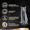 Sheba-Sauce-Lover-Mixed-Collection--Wet-cat-food-trays-for-adult-cats--48-x-85g Sheba Sauce Lover Mixed Collection – Wet cat food trays for adult cats – 48 x 85g