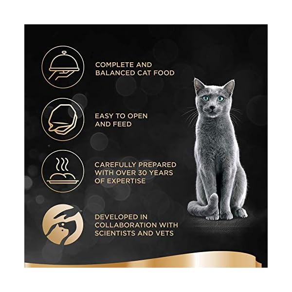 Sheba-Sauce-Lover-Mixed-Collection--Wet-cat-food-trays-for-adult-cats--48-x-85g Sheba Sauce Lover Mixed Collection – Wet cat food trays for adult cats – 48 x 85g