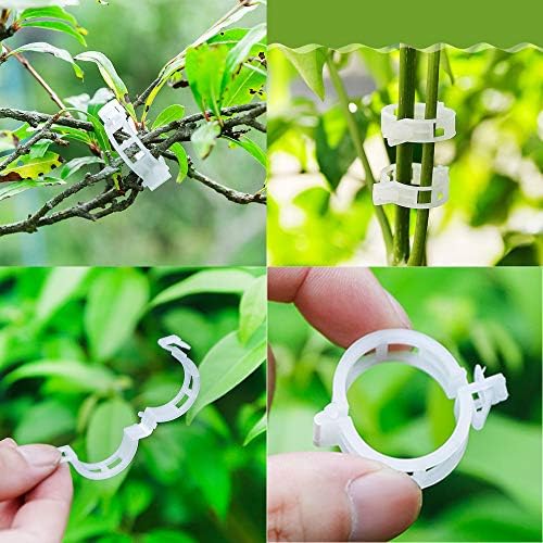 Tomato Clips 150pcs,Trellis Garden Flower Vegetable Binder Twine Plant Support,Factory Outlet by PSFS (Clear)
