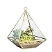 NCYP Geometric Glass Terrarium for Succulent, Air Plants - 5.9x5.9x7.87 Inches - Wall Hanging Glass Planter Pot, Home Garden Tabletop Decoration, Gold (Terrarium Only)