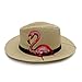 c-pop Panama Straw Hat, Sun Block UV Proof Sunhat Travel Beach Seaside Cap Hand Drawing Panama Hats for Men and Women -Flamingo, 22inch