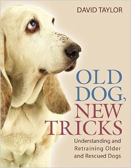 Image result for old dog new tricks