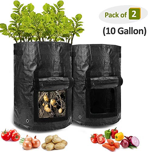 HomeFoundry Potato Grow Bags Planter Bags with Flap Garden Vegetables Planter Bags Aeration Fabric Perfect for Growing Carrot, Potato, Onion, Tomato, 10 Gallon 2 Pack