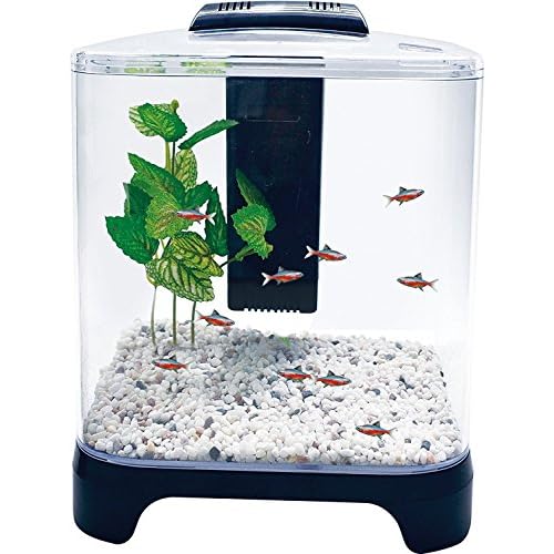 tank filter for betta fish