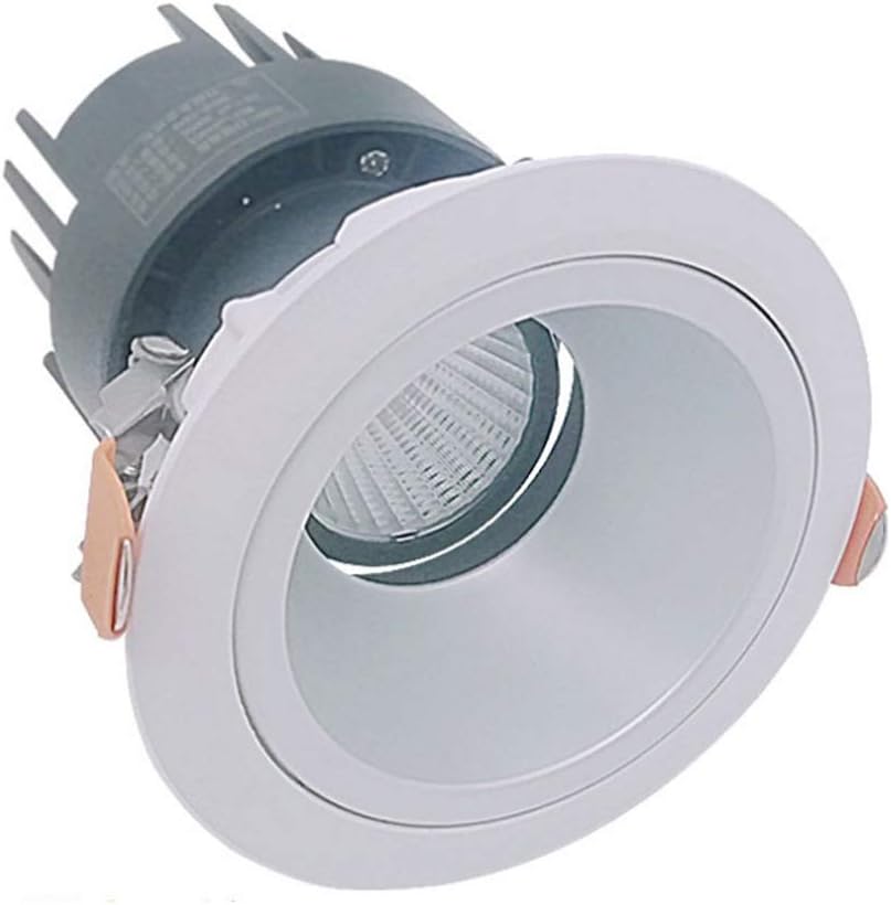 Popertr COB Dimmable Recessed Downlight CRI90 High Color Rendering Ceiling Recessed Spotlight Aluminum Heat Dissipation Illumination Angle Adjustable Ceiling Lamp (Color : 3000K-30W)