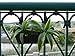 Pacific E-Commerce Hanging Planter for Indoor and Outdoor Use ​|​ Elegant Rectangular Plastic Resin Wicker ​Hanging Basket for Flowers ​and Plant Holder with Hook (Brown) ​- ​17