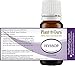 Hyssop Essential Oil 10 ml. 100% Pure Undiluted Therapeutic Grade.