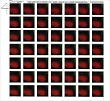 4                                                  image
