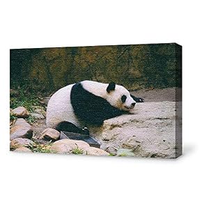 SIGNFORD Canvas Wall Art for Living Room,Bedroom Home...