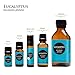 Edens Garden Eucalyptus - Globulus Essential Oil- 100% Pure Premium Grade, Undiluted, Natural, Therapeutic, Aromatherapy, The Best for Diffuser, Candle, Hair, Humidifiers 30 ml (1 fl oz)