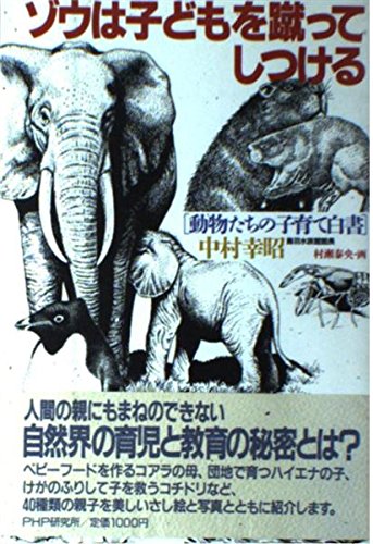 いたずらロバぽっちゃり象の骨盤をヒットする暴力的な後ろ蹴り 象は クロッシングその目 その耳を上げるとその口を噛みしめによってその痛みを表現します のイラスト素材 ベクタ Image 55050655