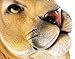Things2Die4 Mountain Lion Head Mount Wall Statue Bust