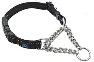 Max and Neo Stainless Steel Chain Martingale Collar - We Donate to a Dog Rescue for Every Collar Sold (Medium, Black)