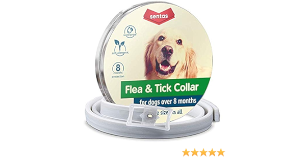 innopet flea collar