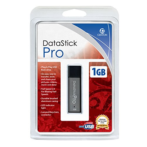 1GB USB Flash Drive Pro