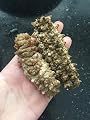 ERLIN Sea Cucumber Natural Sun Dried Stichopus Variegatus Large/Medium/Small/Mix size 1 LB