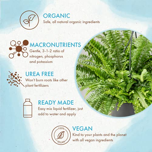 Fern Plant Food (8 oz) Organic Liquid Fertilizer for Live Indoor and Outdoor Fern Plants