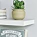 WELLAND Simons Floating Wall Shelf Ledge Shelves, 18-Inch, White