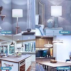 DEGNJU LED Light Bulbs, 100 Watt Equivalent LED