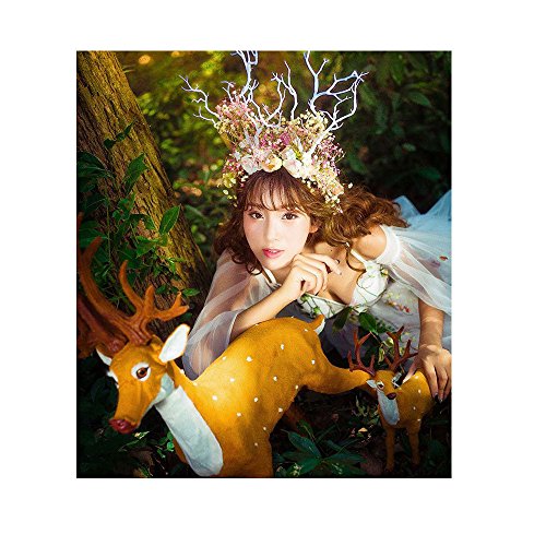 Elk Antler Headband Tree Branch Flower Rose Hair Loop Forest Fairy Witch Headdress Gothic Punk Photography Props Christmas Easter Party Cosplay Costume headwear