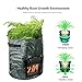 TEEL Potato Grow Bag 2 Pack 10 Gallon Garden Planting Grow Bags with Access Flap and Handles for Potato, Carrot, Onion,Tomato and Flower,Outdoor/Indoor Vegetables Container Bagsthumb 1