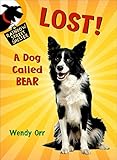 LOST! A Dog Called Bear (Rainbow Street Shelter)