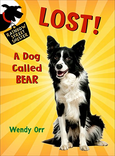 LOST! A Dog Called Bear (Rainbow Street Shelter)