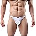 Sunward Men Ultra-Thin Breathable Briefs Sexy Underwear (L, White)