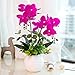 YILIYAJIA Artificial Flowers Orchids Table Decor Faux Flowers Arrangement with Vase Rustic Shelves Centerpieces Floral Decorations Realistic Phalaenopsis for Home Office Hotel Room