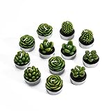 Decorative Scented Smokeless Cactus Tealight Candles, Cute Mini Succulent Plants Candles (Perfect for Home Decor/ Birthday Gift/ Christmas Festival/ Wedding Props/ House-Warming Party), Green, 12 pcs
