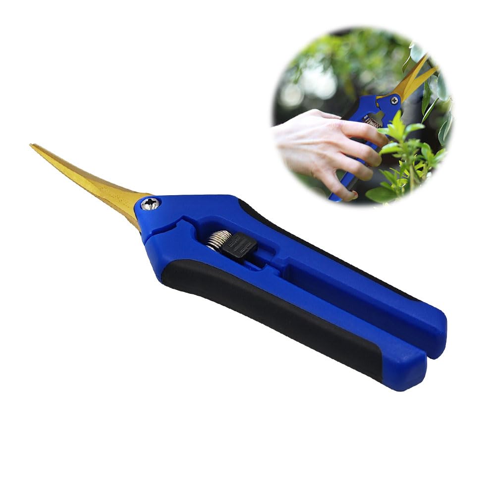 HAISHANG Professional Garden Scissors, Curved Gardening Pruning Secateurs with Titanium Coated Blades, Flower Pruning Shears, Trimming Scissors for Florist Plants Vegetables Fruits Rose