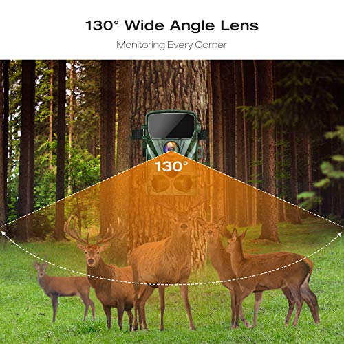 3 TOGUARD+Detection+Activated+Waterproof+Wildlife