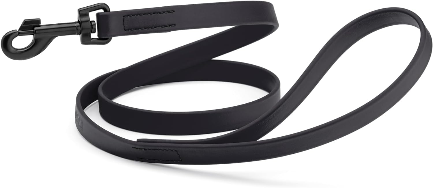 Dogline Biothane Waterproof 6ft Dog Leash Strong Coated Nylon Webbing with Black Hardware Odor-Proof Easy to Clean High Performance for Small or Large Dogs Made in USA 6ft Lead, Black