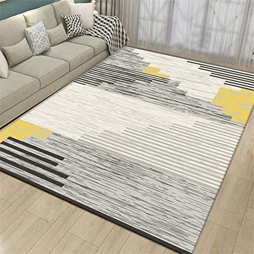 TYSYA Geometric Lines Indoor Area Rug Polyester Soft Eco-Friendly Machine Washable Modern Design Carpet Living Room Bedroom Decor,B,120x160cm