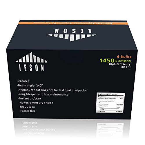 Leson 100 Watt Equivalent A19 Globe LED Light Bulb Standard E26/E27 Base 13W Energy Saving, Soft/Warm White 2700K (6 Pack)