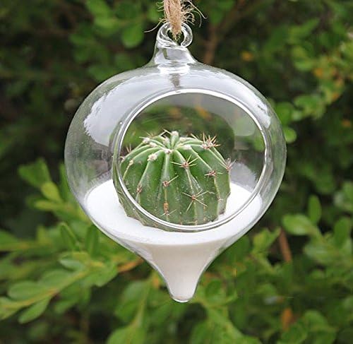 Water Drop Glass Hanging Planter Container Vase Pot Wedding Terrarium Decoration Outdoor Indoor 10cm 1 Pcs ( Shells and sand are not included )