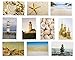 Nautical Beach Seaside Postcards - 20 Glossy Postcards - Bulk Set - Featuring Boats, Lighthouses, Sea Shells, Sand Castles - 4 x 6 Inches