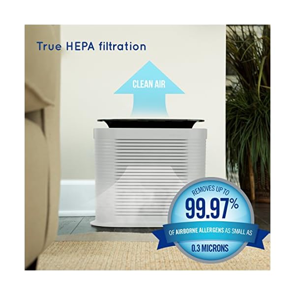 HoMedics HEPA Air Purifier Fan, Keeps Air Fresh, Protects from Allergy Infected Air, Three