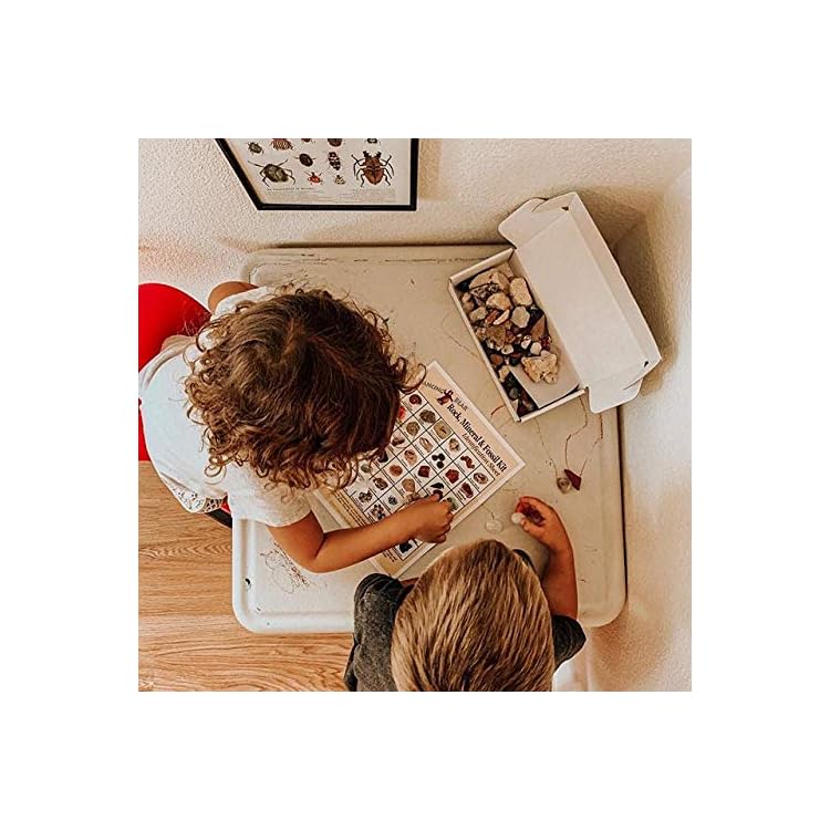 Dancing Bear Rock &amp; Mineral Collection Activity Kit (200