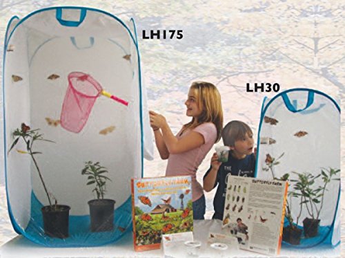 Educational Science Butterfly Terrarium LH175