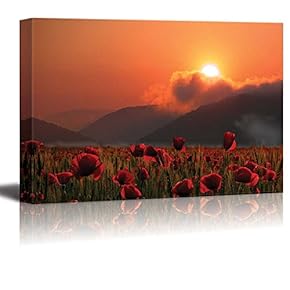 Canvas Prints Wall Art - Summer Poppies Field at Sunset - 12" x 18"