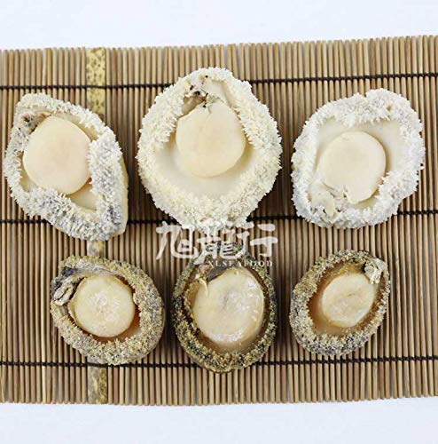 4 XLSEAFOOD+Haliotis+australis+14+18pc+%25E7%2589%25B9%25E7%25BA%25A7%25E5%258D%2597%25E9%259D%259E%25E6%25BA%258F%25E5%25BF%2583%25E5%25B9%25B2%25E9%25B2%258D%25E9%25B1%25BC