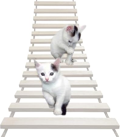 cat ladder amazon