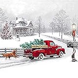 （34x34cm）Full Square Drill 5D DIY Diamond Painting