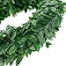 EBOOT 24.6 Yards Artificial Garland Foliage Green Leaves Fake Vine for Party DIY Headbands