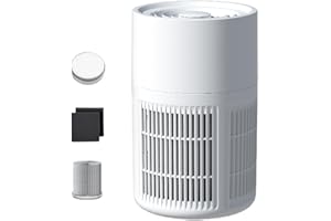 Tidevib Purificateur d'air portable avec HEPA et filtre à charbon actif, alimenté par USB, purificateur d'air compact pour en