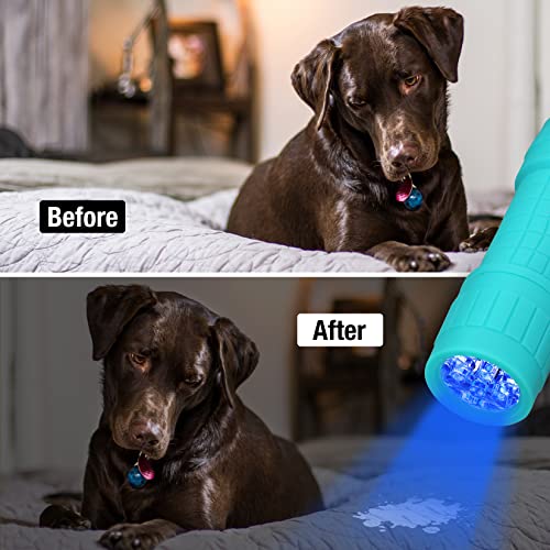 EverBrite Black Light Flashlight, UV Mini Flashlight, 9-Led 395nm Detector for Pet Urine, Stains, Scorpions, 18 AAA Batteries Included, 6-Pack