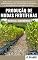 Livro Produção de Mudas Frutíferas